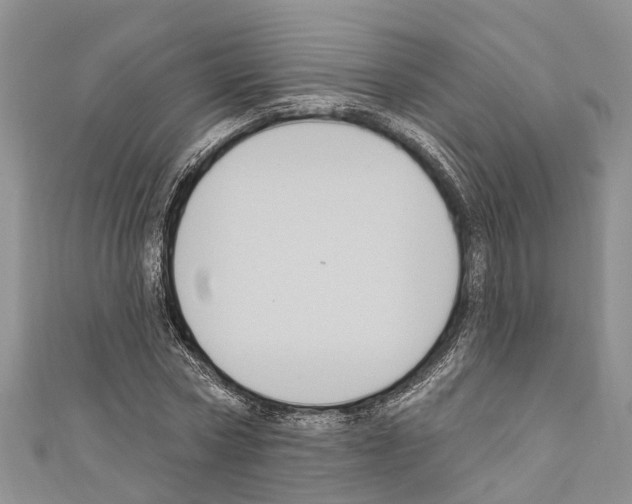 X0000110700778200907241124