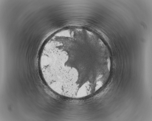 X0000110700779200907241124