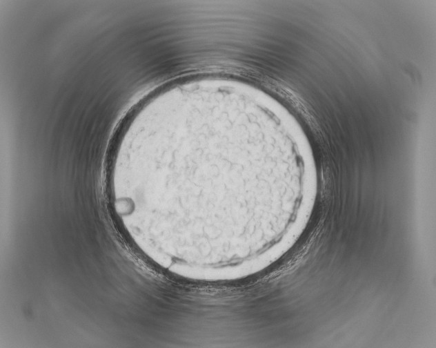 X0000110700780200907241124