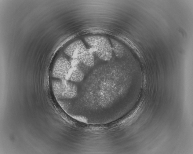 X0000110700782200907241124