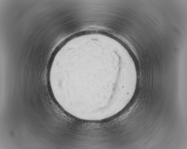 X0000110700783200907241124