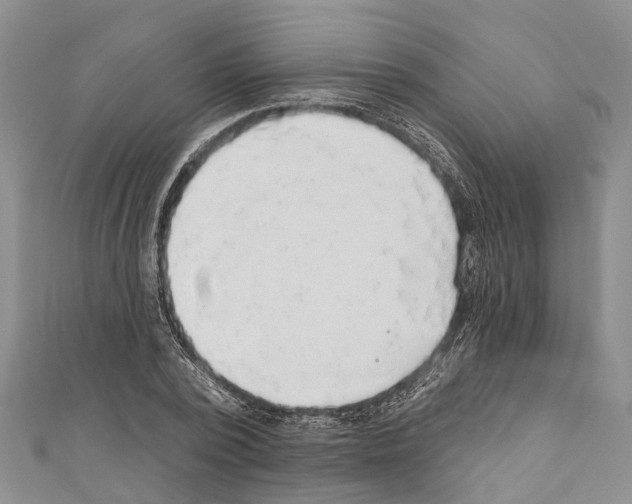 X0000110700784200907241124