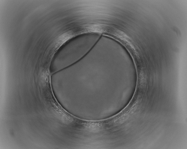 X0000110700785200907241124