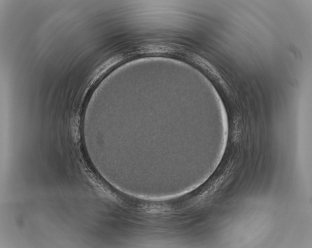 X0000110700786200907241124