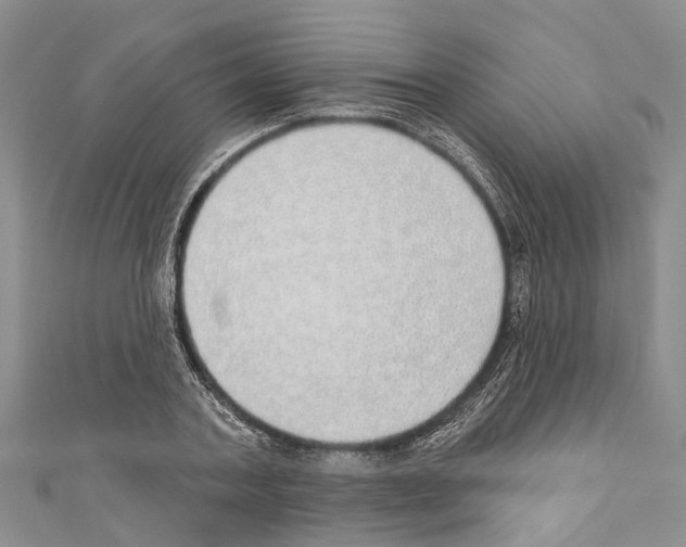 X0000110700787200907241124