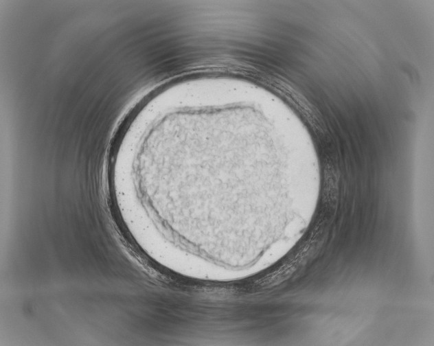 X0000110700788200907241124