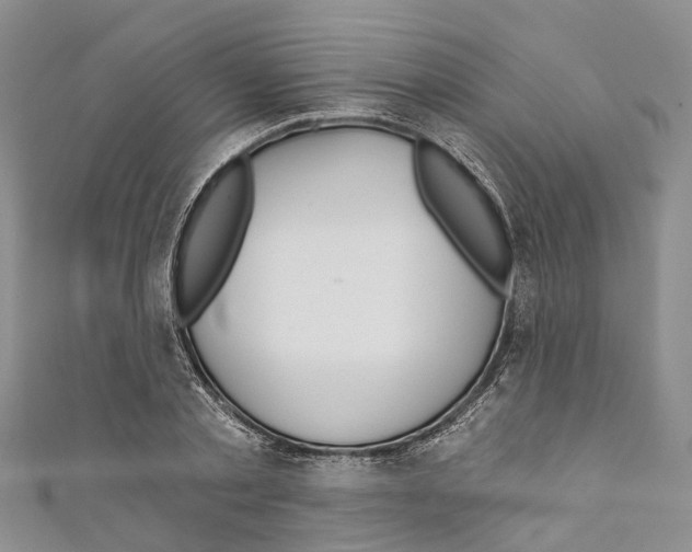 X0000110700789200907241124