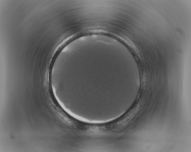 X0000110700790200907241124