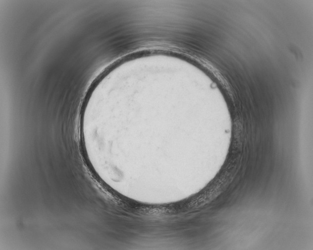 X0000110700791200907241124