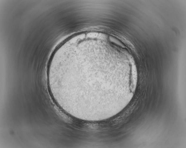 X0000110700792200907241124
