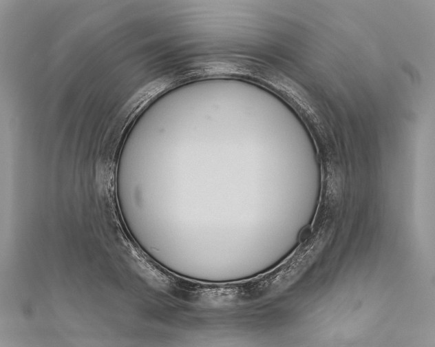X0000110700793200907241124