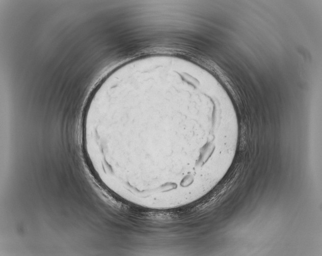 X0000110700795200907241124