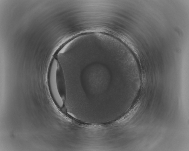 X0000110700797200907241124