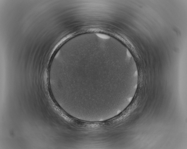 X0000110700798200907241124