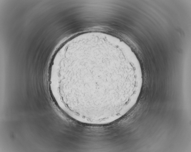 X0000110700800200907241124