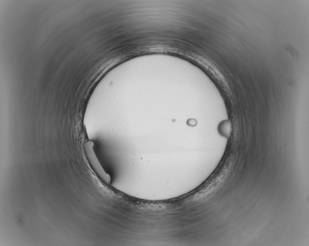 X0000110700801200907241124
