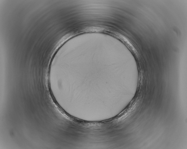 X0000110700802200907241124