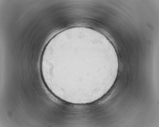 X0000110700803200907241124