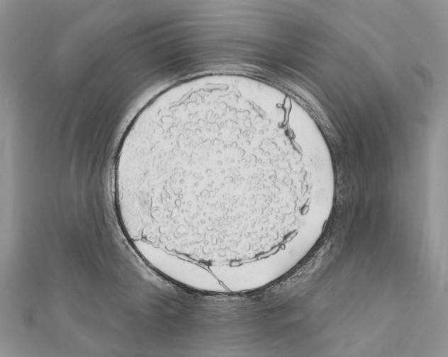 X0000110700804200907241124