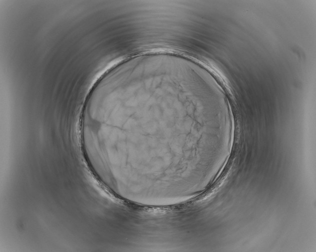 X0000110700806200907241124