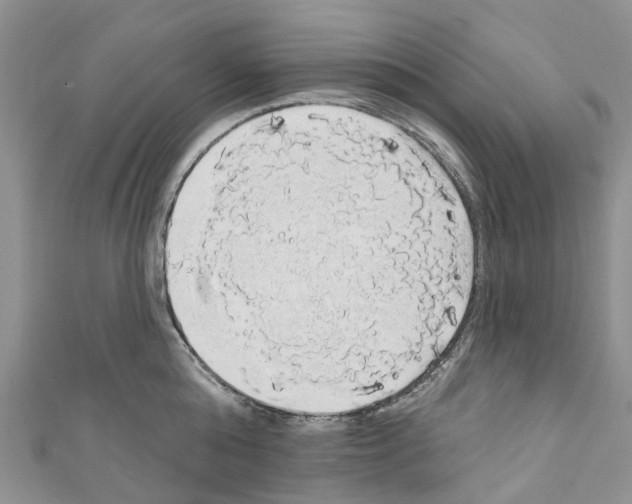 X0000110700808200907241123