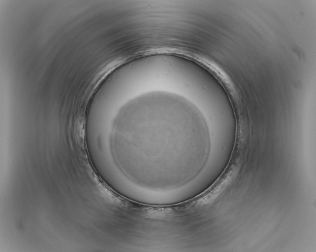 X0000110700809200907241123