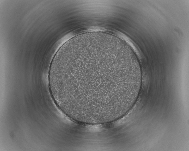 X0000110700810200907241123