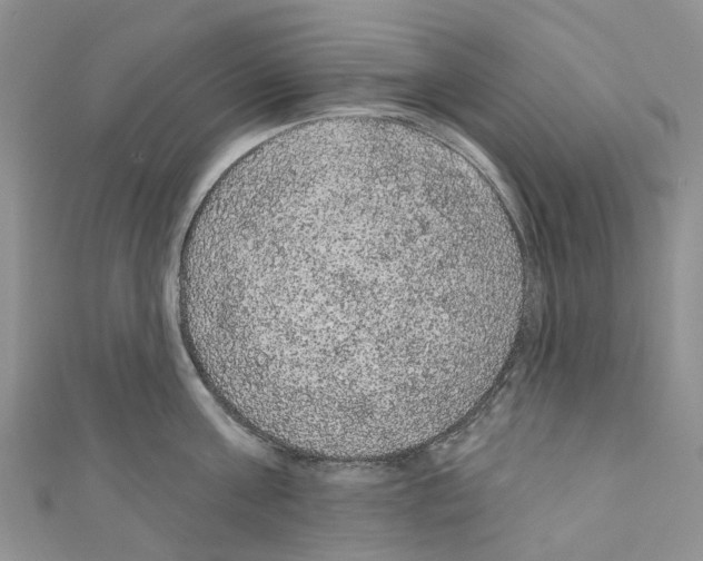 X0000110700811200907241123