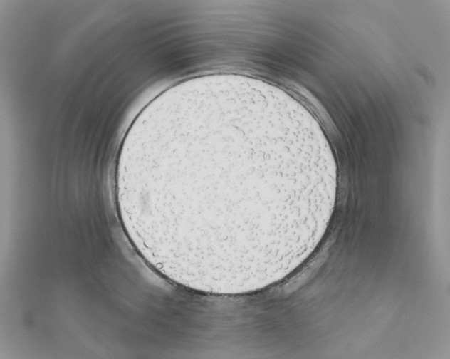 X0000110700812200907241123