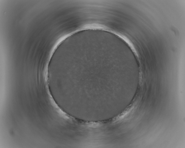 X0000110700815200907241123