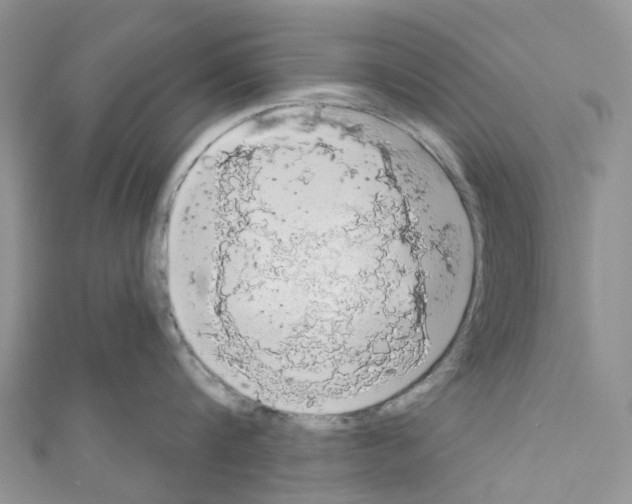 X0000110700816200907241123