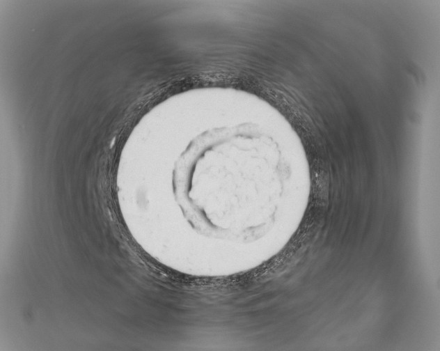 X0000110700817200907241123
