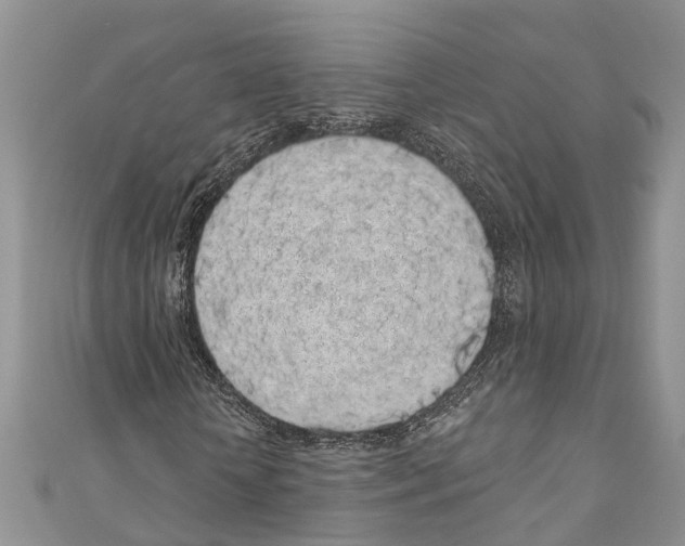 X0000110700818200907241123