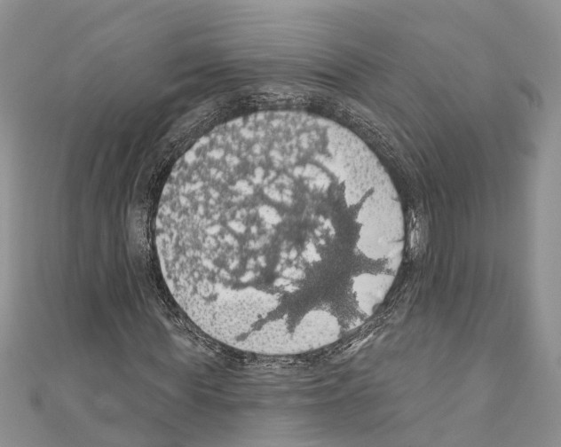 X0000110700819200907241123