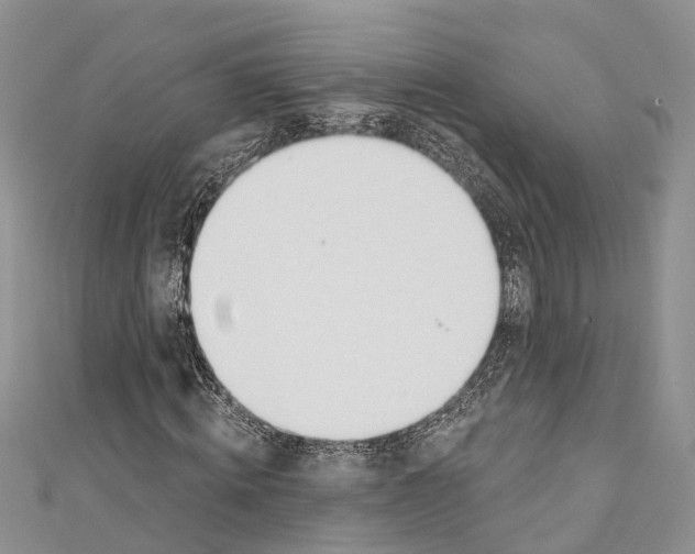 X0000110700820200907241123
