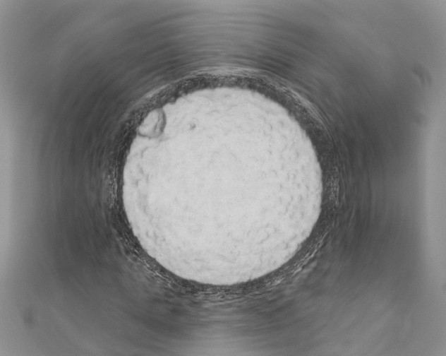 X0000110700821200907241123