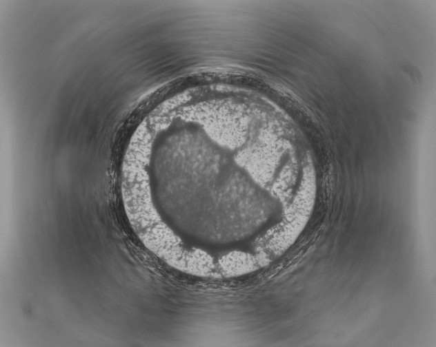 X0000110700822200907241123