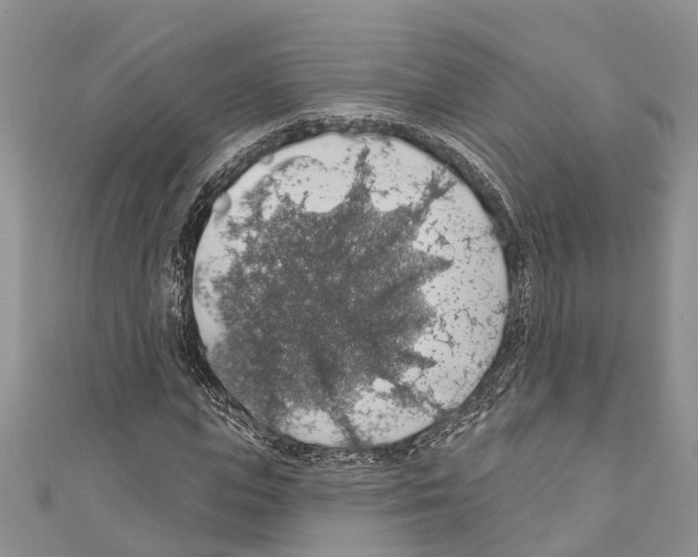 X0000110700823200907241123
