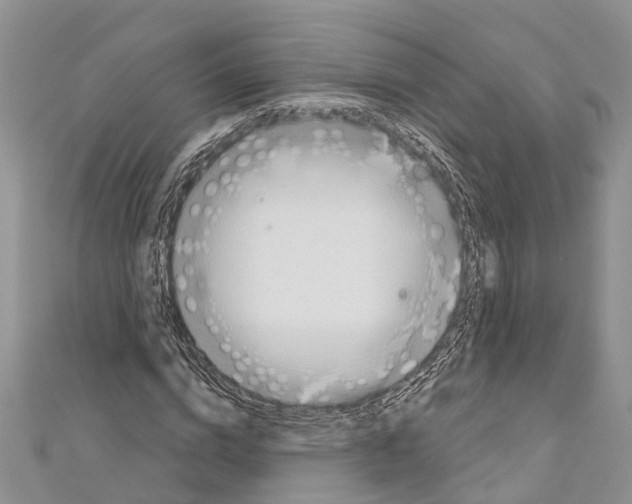 X0000110700824200907241123