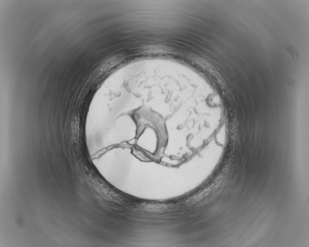 X0000110700825200907241123