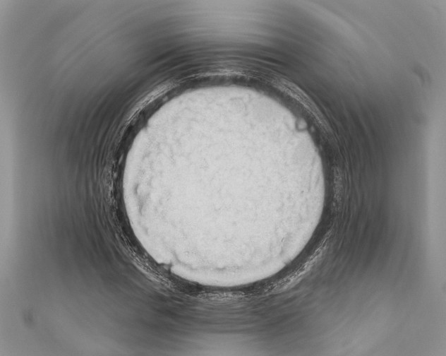 X0000110700826200907241123