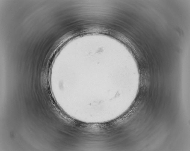 X0000110700828200907241123