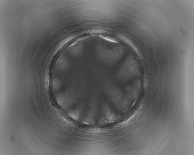 X0000110700829200907241123