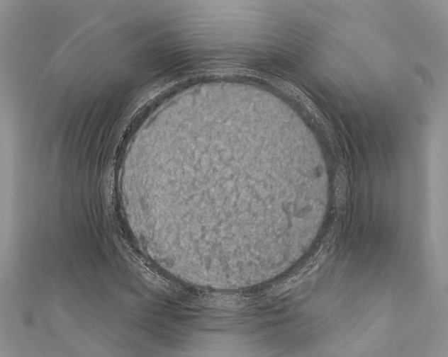 X0000110700831200907241123
