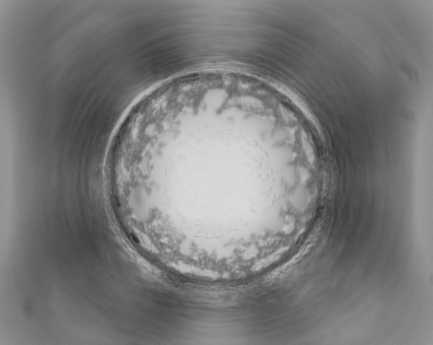 X0000110700832200907241123