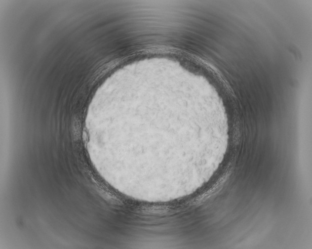 X0000110700833200907241123