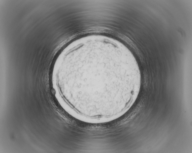 X0000110700834200907241123