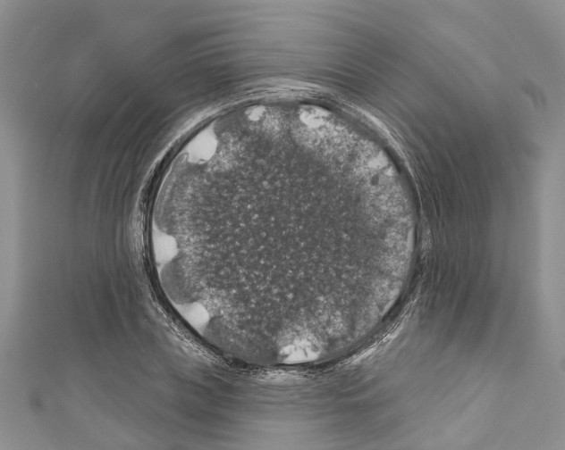 X0000110700835200907241123
