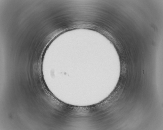 X0000110700836200907241123