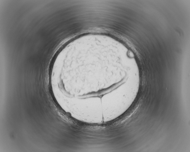X0000110700837200907241123